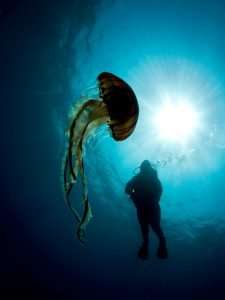 INFORMACION DE BUCEO