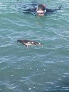 INFORMACION DE BUCEO